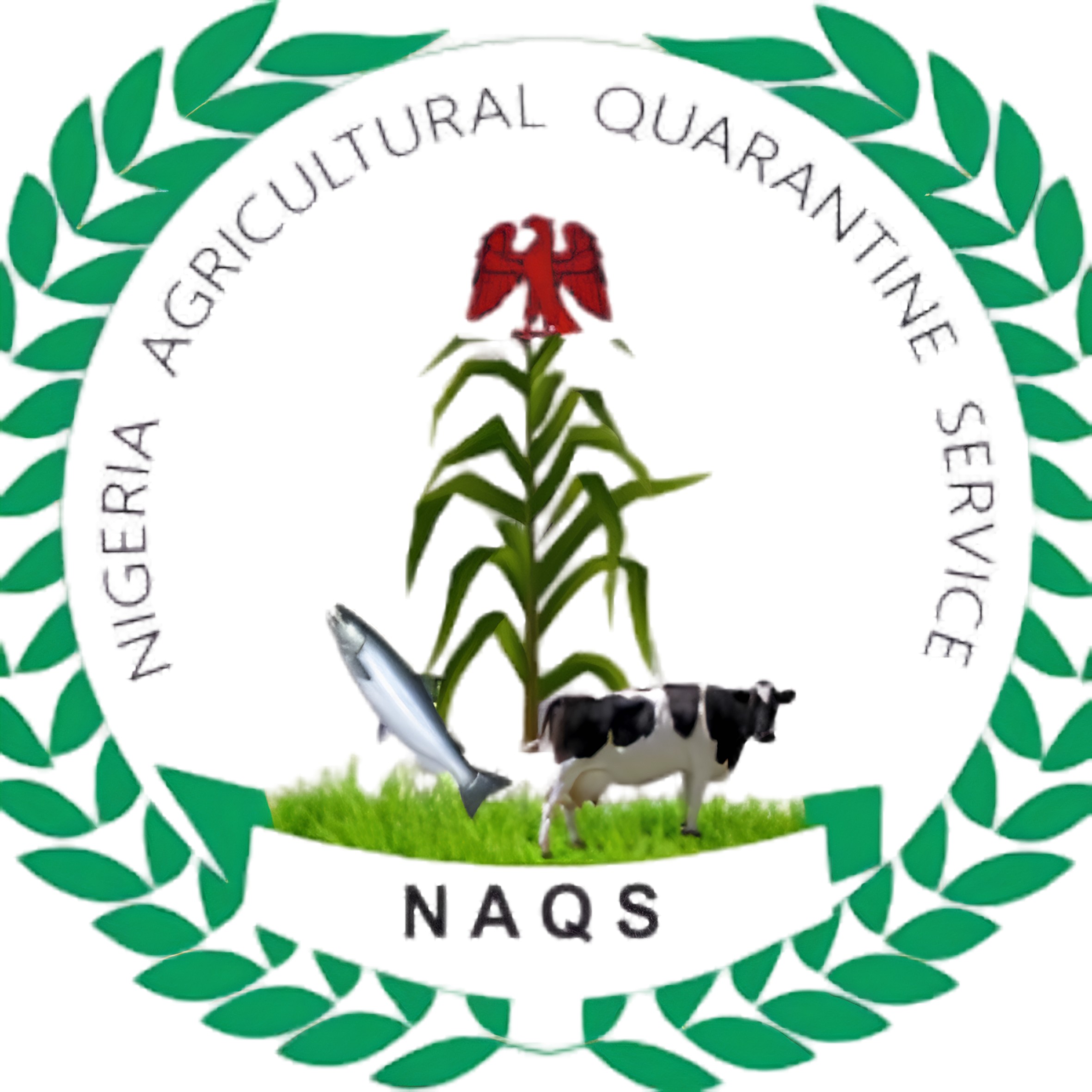 Phytosanitary Certified